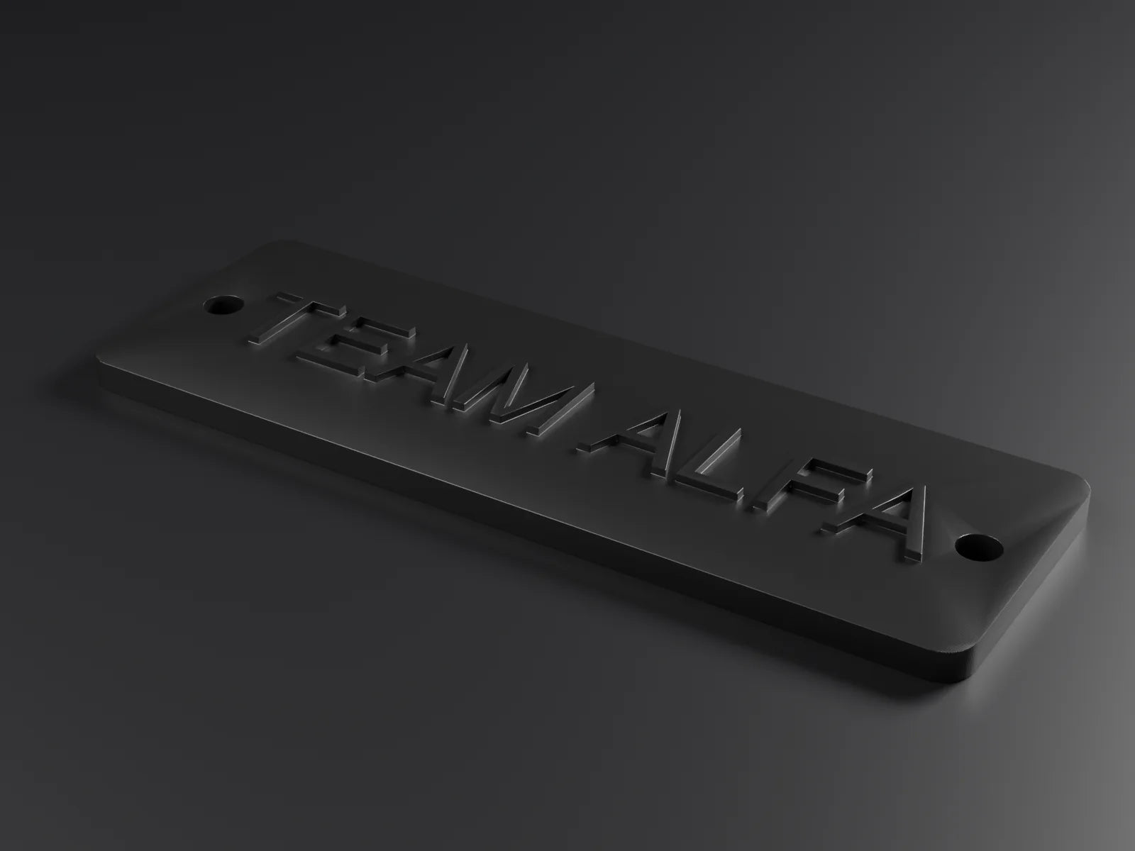 Placa identificativa con el texto TEAM ALFA en relieve